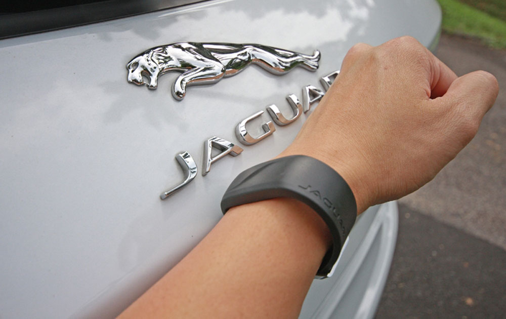 Activity Key Jaguar