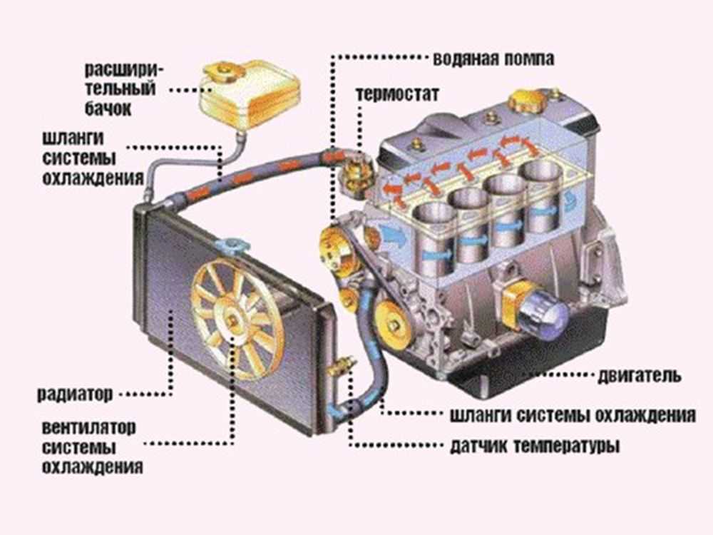 Схема охладительной системы автомобиля