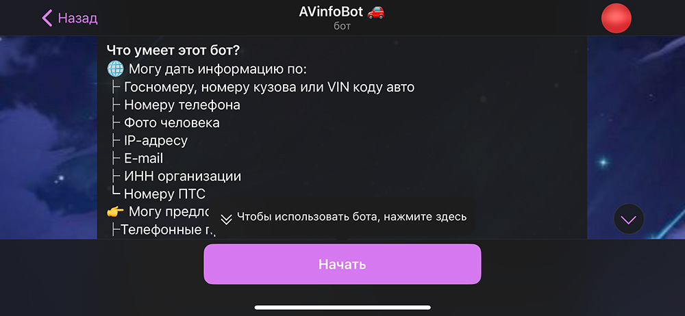 AVinfo в Телеграм